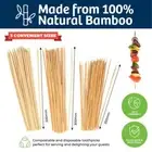 Bamboo Skewers Variety Pack - Includes (20pcs - 30cm x 4mm) (40pcs - 30cm x 3mm)