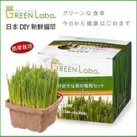 在飛比找Yahoo奇摩購物中心優惠-日本GreenLabo燕麥盆栽組DIY新鮮貓草盆栽燕麥種子貓