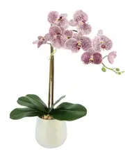 Creative Displays Purple Orchid Floral Arrangement