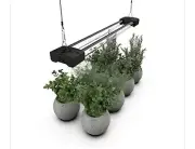 DYMOND boostgro LED Grow Light ~ Full Spectrum ~ Linkable ~ 5000K ~ 2 ft. Black