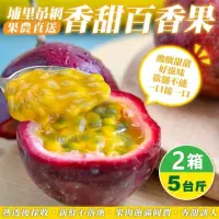 在飛比找momo購物網優惠-【WANG 蔬果】埔里吊網香甜百香果5斤x2箱(果農直配)