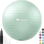 Meteor Essential Anti-Burst Swiss Ball - Premium Quality Exercise Ball for Pilates, Yoga, Balance & Fitness with Air Pump