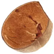 Coconut Hideout House Crab Shells Household Reptile Shelter