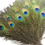 200 pcs Peacock Feathers in Bulk 10-12 inch(25-30 cm) Bulk for DIY Craft Wed