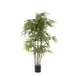 [OneWorld Collection] New Bamboo Tree 1.5m