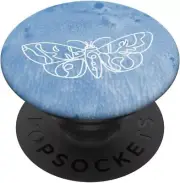 butterfly design on teal blue