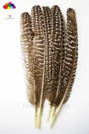 New 10-100PCS 20-25cm natural 20-25cm/8-10inch Pearl Pheasant Tail Feathers