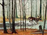 Deer Tile Backsplash Robert Binks Wildlife Art Ceramic Mural REB017