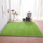 Living Room Home Decor Coral Fleece Area Rug,Modern Nursery Washable Kids Bedroom Rug,Girls Boys Soft Non-Slip Soft Mat,2cm Thick Kids Carpet-B- 150 * 250cm