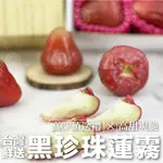 (一盒免運)【綠之果物】蓮霧 黑珍珠蓮霧 黑金剛蓮霧 紅寶石蓮霧 台灣產地鮮送黑珍珠蓮霧