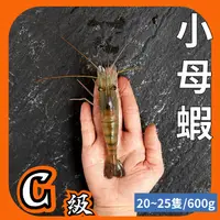 在飛比找蝦皮購物優惠-【黑豬泰國蝦】小母蝦1斤約20~25隻/活蝦鮮凍