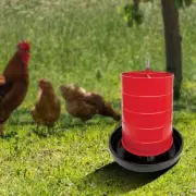 Poultry Waterer feed Container Easy to Fill Chicken Feeder for Birds Outdoor