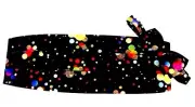 Mardi Gras Dots Cummerbund and Bow Tie