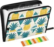 Quteprint 13 Pockets Expanding File Folder with Zipper Closure, Abstract Pineapple Aztec Accordion File Folder with Sticky Labels, Letter Size A4 Papers Expandable File Document Organizer