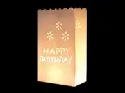 10 White Happy Birthday Party Paper Bag Lantern Outside Path Decoration Luminara