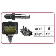 RAE Oxygen Sensor - OX786