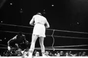 Gerry Cooney Knocks Ron Lyle Through The Ropes 1980 Old Boxing Photo