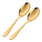 Buffet Serving Spoons, Stainless Steel 10 Inch Gold Plated Server Set of 2, L...