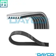 VRIBBED BELT 6PK1195 FOR RENAULT SCÉNIC/III/VAN/IV/GRAND CLIO/Van/Hatchback 1.5L