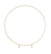 3M Gold Wedding Hoop Round Circle Arch Backdrop Flower Display Stand Frame Background