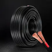 8B&S Giantz 30M Twin Core Wire Electrical Cable Extension Car 450V 2 Sheath
