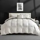 Light Feather Down Fibers Comforter Queen Size, All Seasons White Ultra Soft ...