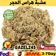 Turquette Herniaria glabra Herras Lehjar Herb Natural Organic AA عشبة هراس الحجر