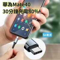 在飛比找PChome24h購物優惠-100W 雙頭type-C線 PD線 快充線 PD充電線