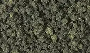 Woodland Scenics Forest Blend Bushes Clump-Foliage FC149 Brand New