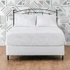 Premium Printed Queen Bed Sheet Set 4-Piece - Soft Hand Drawn Sketch Floral Prin