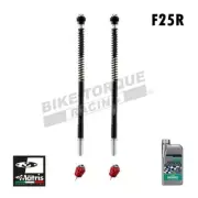 Matris F25R Fork Cartridge Kit to fit KTM 1190 RC8 / RC8R 2009-2015