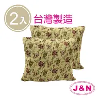 在飛比找momo購物網優惠-【J&N】蘿絲彈性抱枕45*45玫瑰綠綠色(2入/1組)