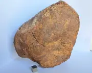 2414 grams NWA xxx Unclassified As Found Stoney Meteorite with a COA