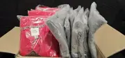 Wholesale 10 Women's Plus Size Clothing Dresses & Shorts Bundle Resell NWT