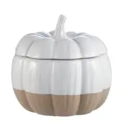 Better Homes & Gardens Exposed Clay Pumpkin Stoneware Cookie Jar Tabletop White