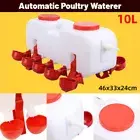 10L Chicken Poultry Automatic Drinking Tank Drinker Feeding Pot Water Dispenser