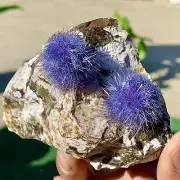 162G Indian dandelion zeolite Quartz Crystal Cluster Mineral Specimen