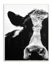 Stupell Cow Black And White Close Up by Lettered and Lined