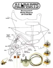 Allparts EP-4120-000 Wiring Kit for Stratocaster