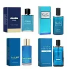 Ocean Masculine Perfume Long Lasting Fragrance Natural Pheromone Cologne Perfξρ