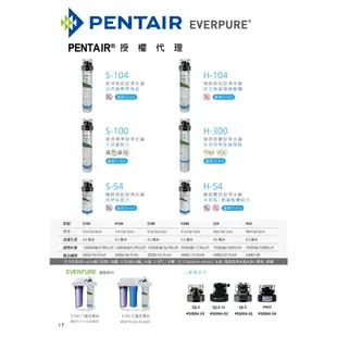 【PENTAIR濱特爾】Everpure愛惠浦 S54 精製除鉛型淨水器濾芯 專利多摺複濾膜設計 可議價 保證賣場最低價