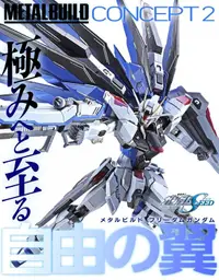 在飛比找露天拍賣優惠-萬代 METAL BUILD MB 自由鋼彈2.0 鋼彈SE