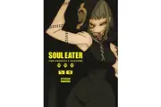 Soul Eater: The Perfect Edition 8