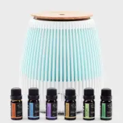 Alcyon Work From Home Diffuser + 8 Pure Essential Oil Set