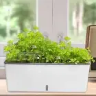 Window Box Plant Pot Multipurpose Container Rectangular Planter for Outside