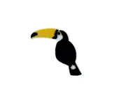 Embroidery patch sew badge iron on glue transfer toucan bird
