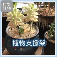 在飛比找蝦皮購物優惠-盆栽固定桿 植物支撐桿 植物支架 蘭花夾 植物支撐架 盆栽支