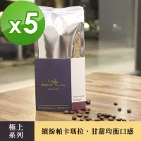 在飛比找momo購物網優惠-【哈亞極品咖啡】極上系列-繽紛帕卡瑪拉 中深烘焙 水洗咖啡豆