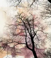 Tree Abstract background Cloud quality Painting Canvas Print wall art home decor
