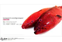 在飛比找Yahoo!奇摩拍賣優惠-【水汕海物】頂級食材 高檔漁獲 野生紅條石斑魚、三去實重。澎